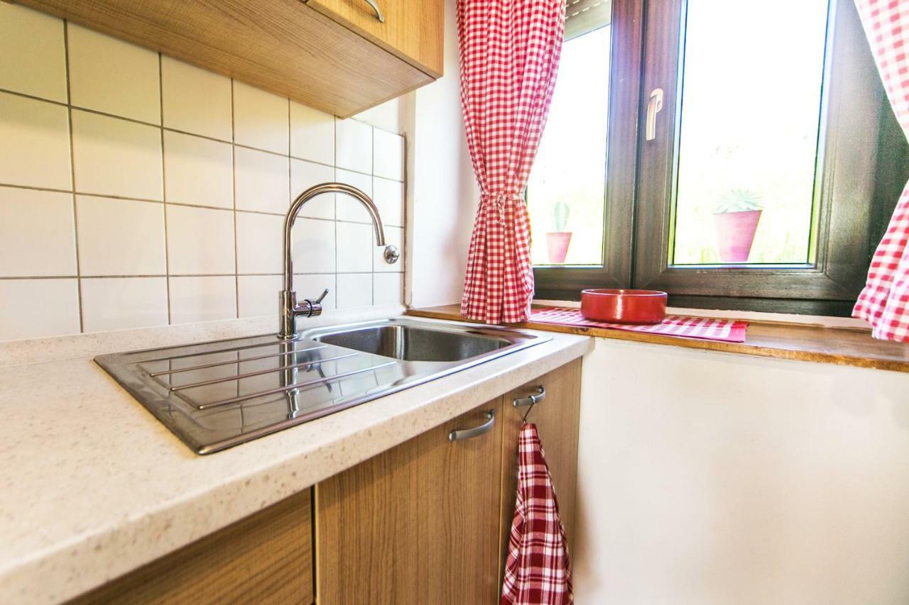 Cozy Istrian House Pension Izola Buitenkant foto