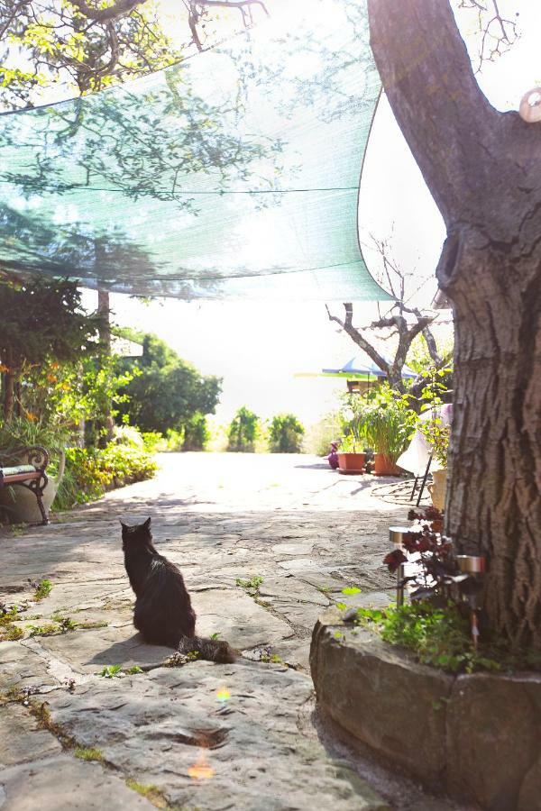 Cozy Istrian House Pension Izola Buitenkant foto