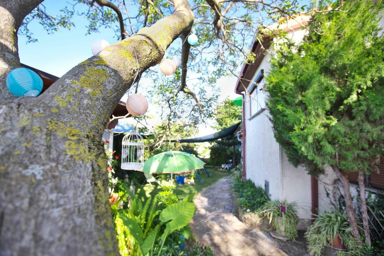 Cozy Istrian House Pension Izola Buitenkant foto