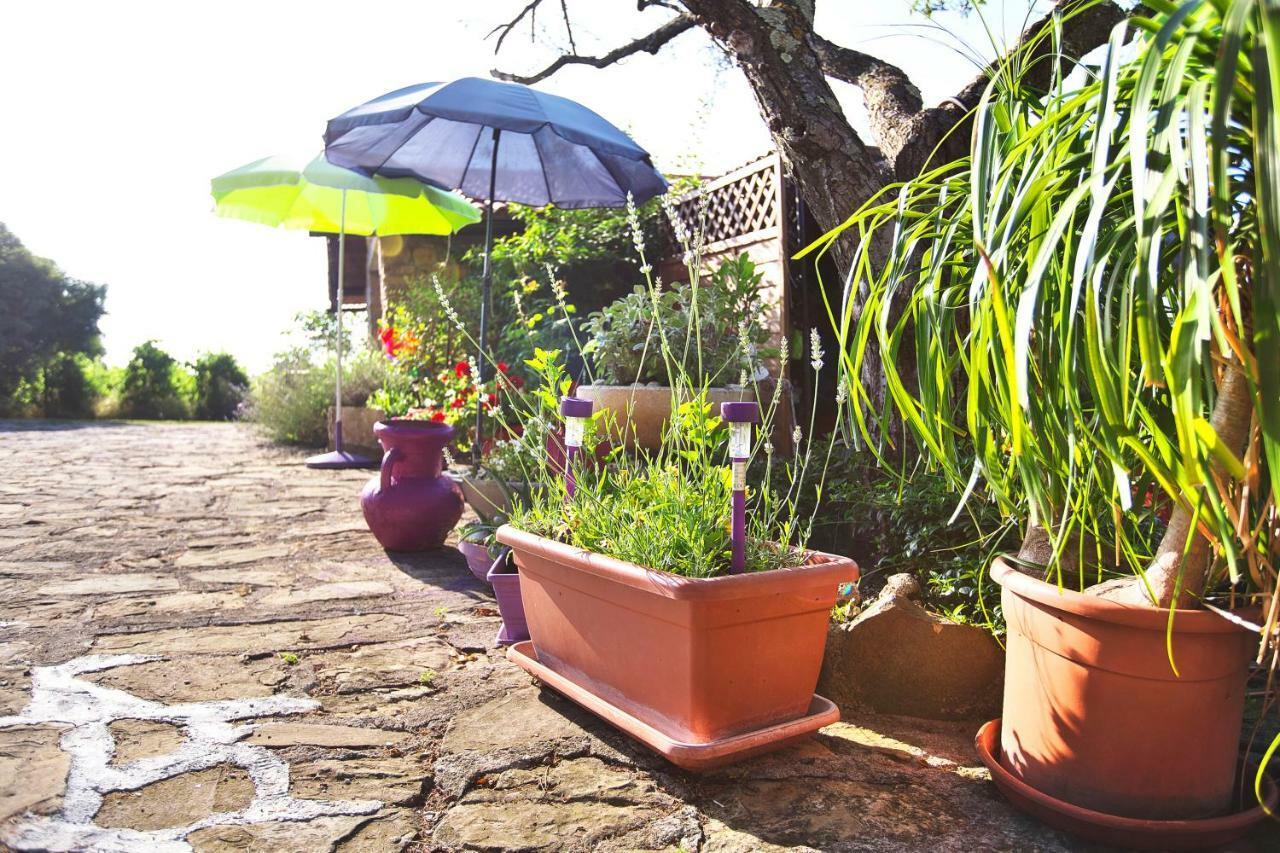 Cozy Istrian House Pension Izola Buitenkant foto